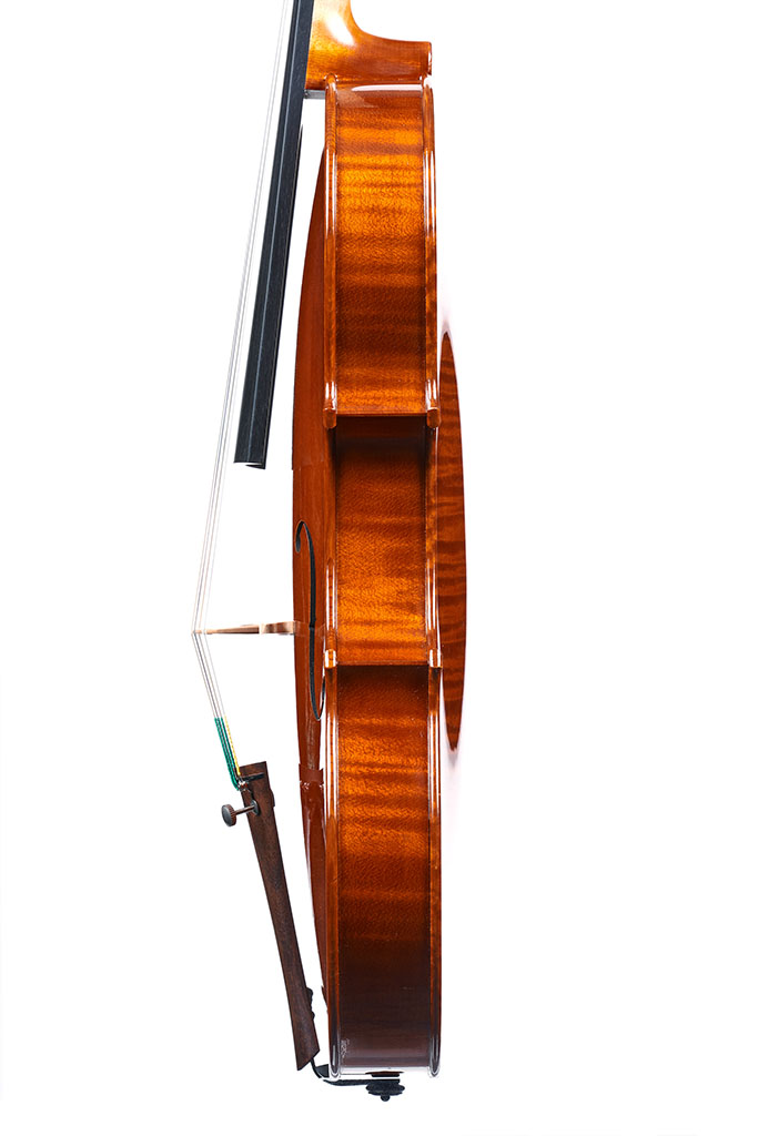 Violin soundbox by Emma Draghi Poggi