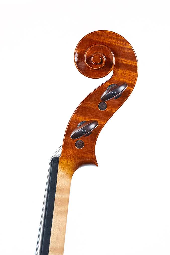 Violin scroll by Emma Draghi Poggi