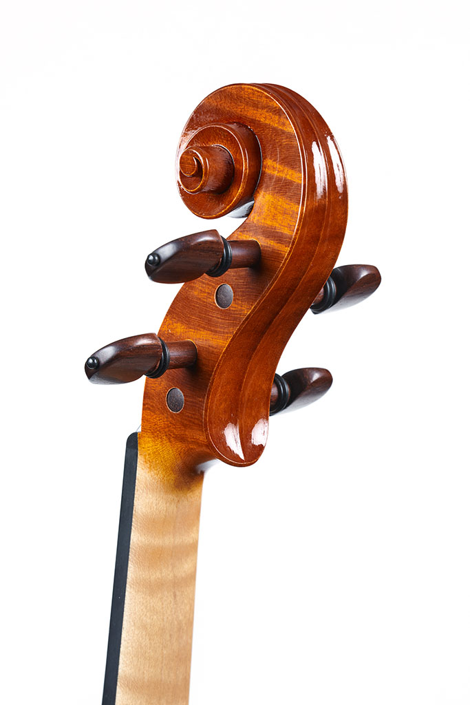 Violin scroll by Emma Draghi Poggi