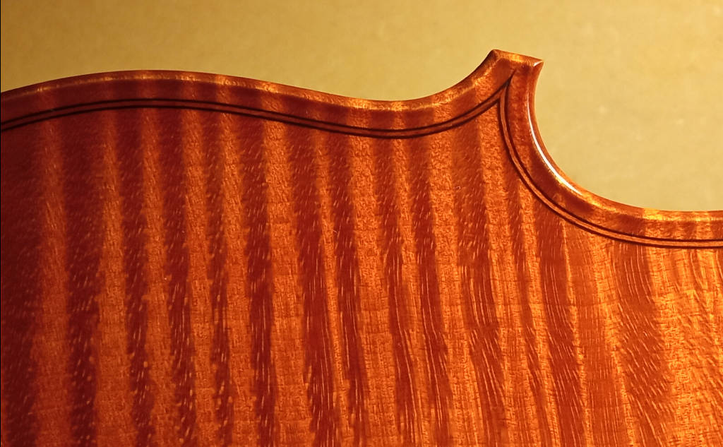 Varnished violin back by Emma Draghi Poggi